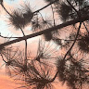 Meet your Posher, Jeanette